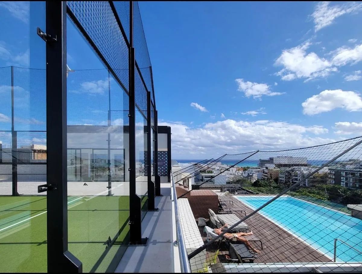 Macondo 214의 연락처